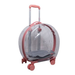 MOCHILA CON RUEDAS TRANSPARENTE